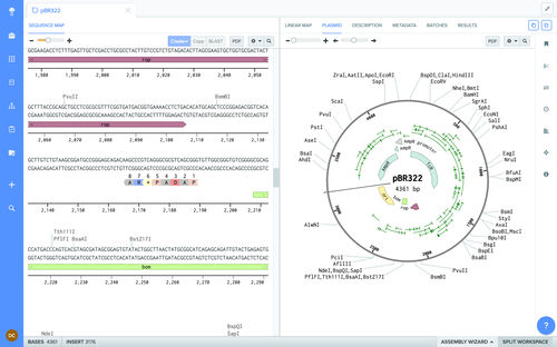 Software per biologia molecolare - Benchling - da laboratorio / di registrazione / di condivisione