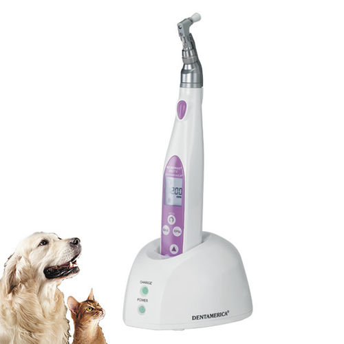 Manipolo veterinario - MICROMAX® BRITE - Apixia - per profilassi dentale / pneumatico / diretto