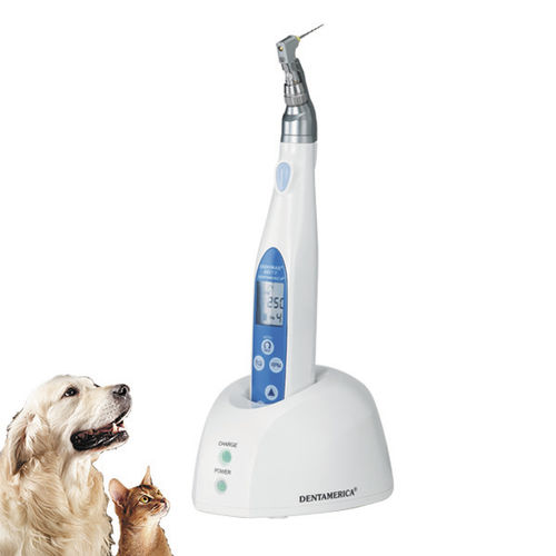 Micromotore odontoveterinario - ENDOMAX® BRITE - Apixia - elettrico / da incasso / cordless