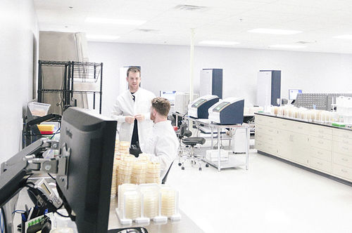 Sistema di identificazione batterica MALDI-TOF - AccuPRO-ID®  - Charles River Laboratories