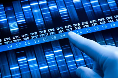 LIS di analisi - RiboPrinter®  - Charles River Laboratories - di gestione dati / da laboratorio