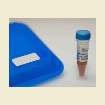 Reagente anticorpo monoclonale - mNeonGreen-Trap - Bulldog Bio, Inc. - enzima / per western blot / di proteine
