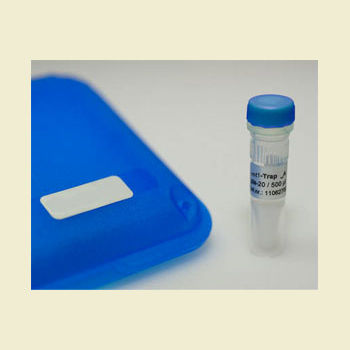 Reagente anticorpo - RFP-Trap A - Bulldog Bio, Inc. - per imaging cellulare / di biochimica / di proteine