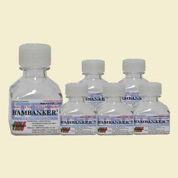 Mezzo reattivo - Bambanker - Bulldog Bio, Inc. - di crioconservazione cellulare / liquido