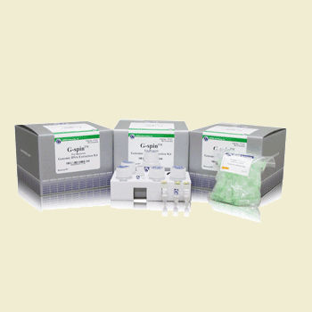 Kit di reagenti soluzione tampone - G-spin - Bulldog Bio, Inc. - di campioni di sangue / per tessuti / per estrazione di DNA
