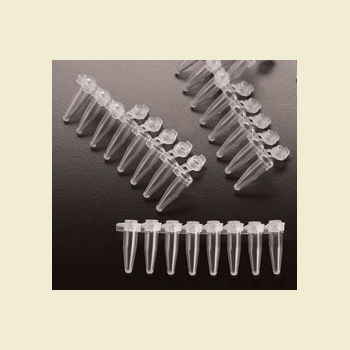 Microprovetta per PCR - Taurus Tek - Bulldog Bio, Inc. - con fondo a V / in plastica