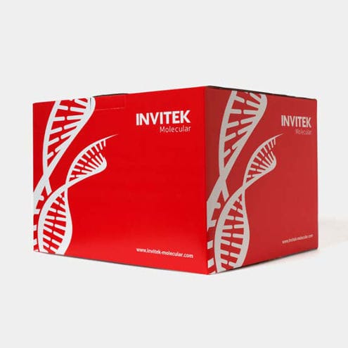 Kit di test per malattie infettive - 1050100200 - Invitek Molecular - per diagnosi COVID-19 / per DNA / SARS-COV-2