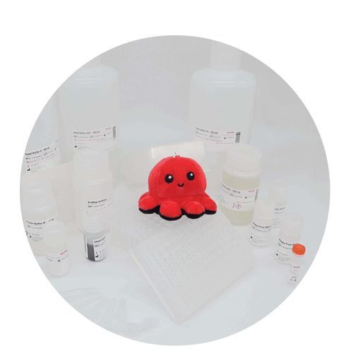 Kit di reagenti in soluzione - InviMag&reg; Universal Kit/ KF96 - Invitek Diagnostics - per estrazione di DNA / per estrazione di RNA / diagnostico