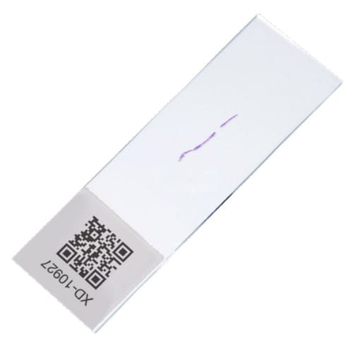 Kit di test del cancro del polmone - EdgeSeq ALKPlus - HTG Molecular - di oncologia / per tessuti / da laboratorio