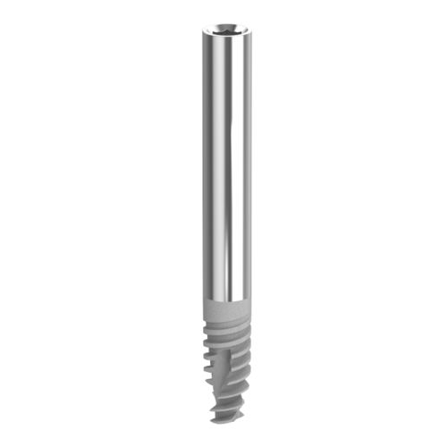 Impianto dentale in titanio - Zygomax - Biotec Dental Implant Development GmbH - ad esagono interno / dritto