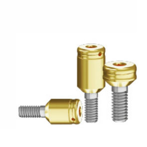 Pilastro dentale per impianto in titanio - Bio-PCA series - Biotec Dental Implant Development GmbH - in acciaio inossidabile / interno / dritto