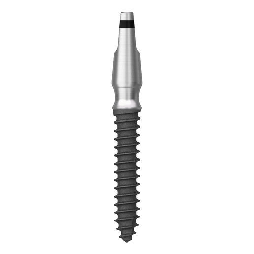 Impianto dentale cilindrico - MS - Osstem Implant France - in titanio / monoblocco / in una fase