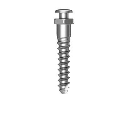 Miniimpianto in titanio - Osstem Implant France - dritto / a vite / di ancoraggio ortodontico