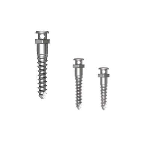 Miniimpianto in titanio - Through Hole - Osstem Implant France - dritto / a vite / di ancoraggio ortodontico