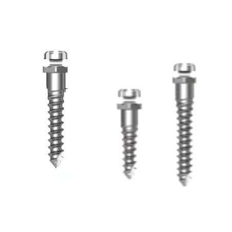 Miniimpianto in titanio - Bracket Head - Osstem Implant France - interno / dritto / a vite