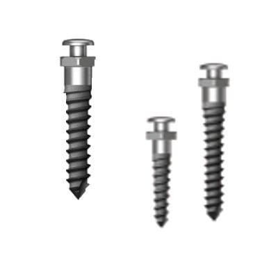 Miniimpianto in titanio - Simple Head Half Etched - Osstem Implant France - dritto / a vite / di ancoraggio ortodontico