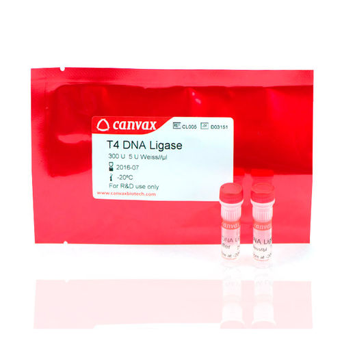 Kit di reagenti DNA ligasi - T4 - Canvax - per acidi nucleici / dell'Escherichia coli