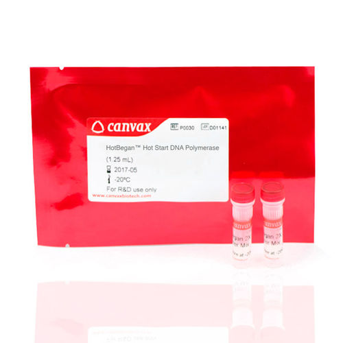 Kit di reagenti DNA polimerasi - HotBegan™ - Canvax - Taq polimerasi / anticorpo / per PCR