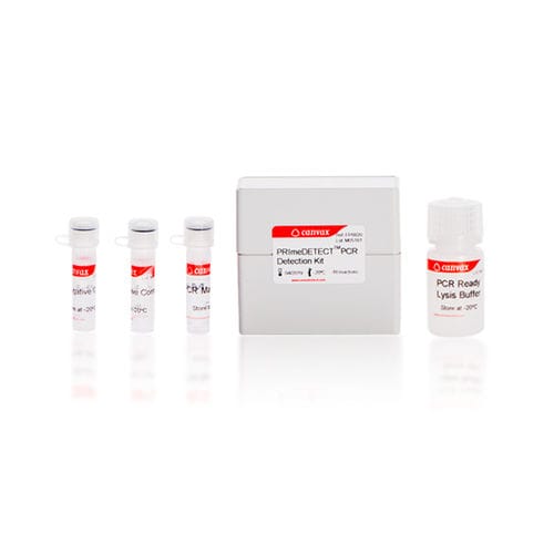 Kit di test da ricerca - PRImeDETECT™ - Canvax - della Salmonella / per RT-PCR