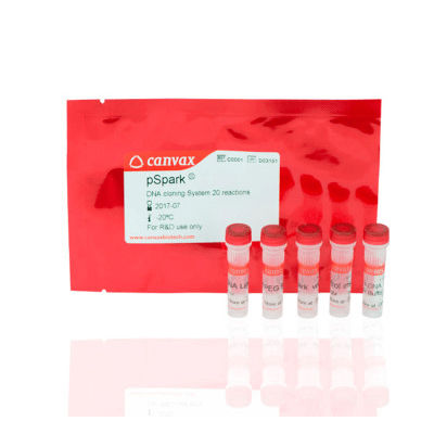 Kit di reagenti DNA ligasi - pSpark® II - Canvax - per PCR / per acidi nucleici
