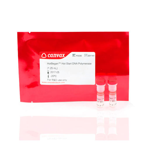 Kit di reagenti in soluzione - HotBegan™ - Canvax - Taq polimerasi / anticorpo / per PCR real-time