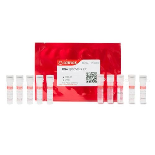 Kit di reagenti enzima - CVX™ - Canvax - inibitore di Rnase / da ricerca / per lo sviluppo di farmaci