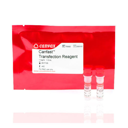 Kit di reagenti in soluzione - CANFAST™ - Canvax - da ricerca / di trasfezione di DNA / per lo sviluppo di farmaci