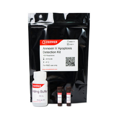 Kit di test da ricerca - Annexin V - Canvax - dell'apoptosi / al plasma / di cellule