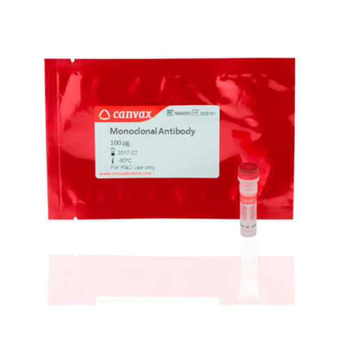 Reagente anticorpo policlonale - PA0001 - Canvax - anticorpo monoclonale / per cromatografia / da ricerca