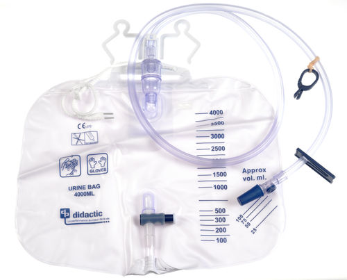 Set di drenaggio urinario - COL4CCGS  - 4L - DIDACTIC - graduato