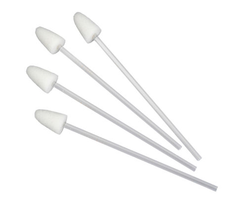 Tampone di pulizia per igiene orale - CV204P - DIDACTIC