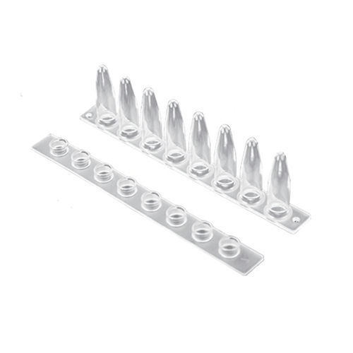 Striscia analitica per acidi nucleici - 203001 - taizhou suntrine biotechnology co.,ltd - per PCR