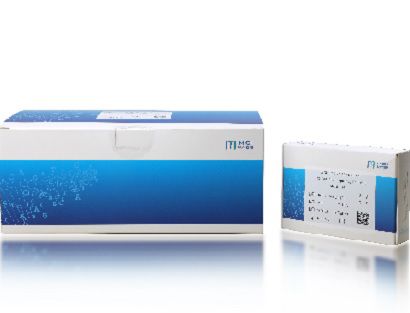 Reagente anticorpo - CoolMPS - MGI Tech - DNA polimerasi / da ricerca / di piombo