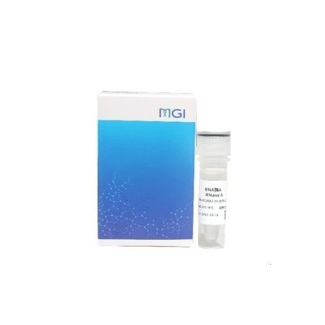 Reagente enzima - 940-001646-00 - MGI Tech - acidi nucleici / inibitore di Rnase / di proteine