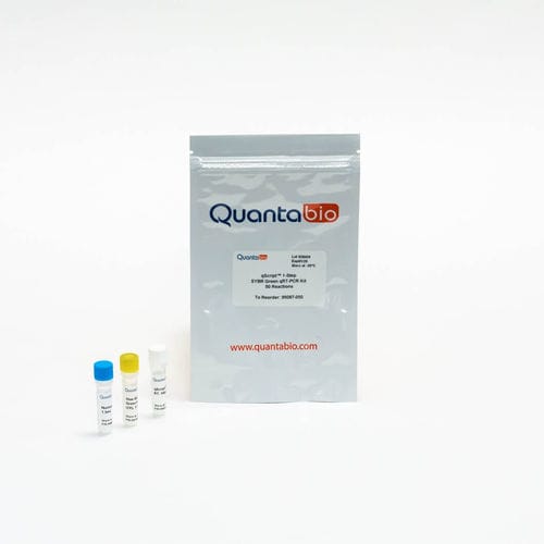 Kit di reagenti in soluzione - qScript One-Step SYBR® - QuantaBio - Taq polimerasi / transcrittasi inversa / anticorpo