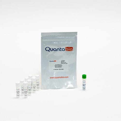Kit di reagenti DNA polimerasi - AccuStart II  ToughMix - QuantaBio - Taq polimerasi / anticorpo / anticorpo monoclonale