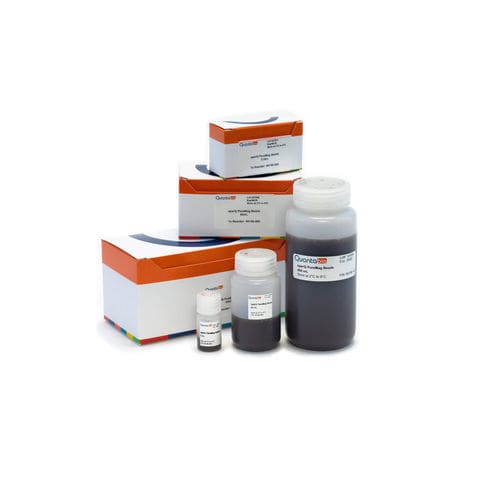 Kit di reagenti a biglie magnetiche - sparQ PureMag - QuantaBio - per acidi nucleici / NGS / liquido