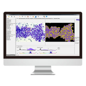 Software per imaging cellulare - AmCAD-CA  - AmCad BioMed - di analisi / diagnostico / di acquisizione