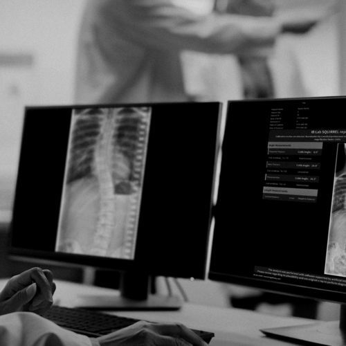 Software di monitoraggio - IB Lab SQUIRREL™ - Imagebiopsy Lab - di misura / di valutazione / di calibrazione