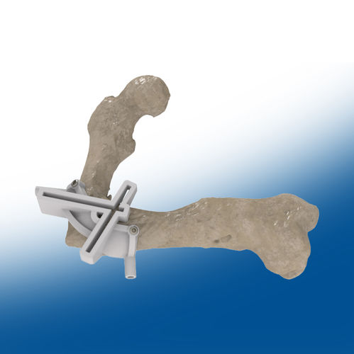 Modello anatomico di femore - Ortho Baltic - per chirurgia / didattico