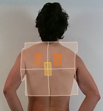 Software medico - 3D-Cam Pilot - Digitec - per radiografia / di visualizzazione 3D / di acquisizione