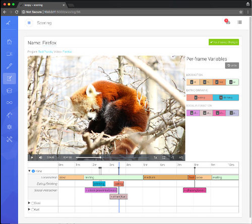 Software di analisi - Loopy  - loopbio gmbh - di calibrazione / con sistema di tracciatura / per ricerca comportamentale