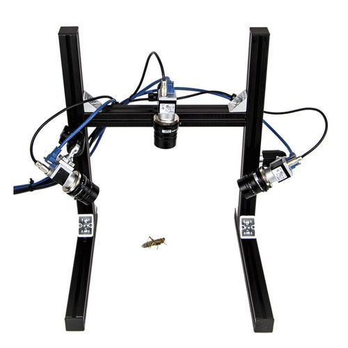 Videoregistratore per ricerca comportamentale - Hexerei - loopbio gmbh - 3D