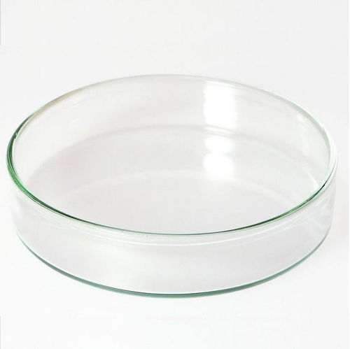 Piastra Petri - CD100 - HUNAN RUNMEI GENE TECHNOLOGY CO.,LTD