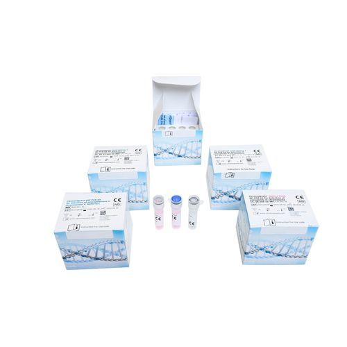 Kit di test QF-PCR - ChromoQuant Optima STaR - CyberGene AB - di malattie genetiche / per aneuploidia / della trisomia fetale