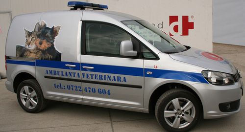 Ambulanza veterinaria - Volkswagen Caddy - DELTAMED SRL - furgone / 4x4