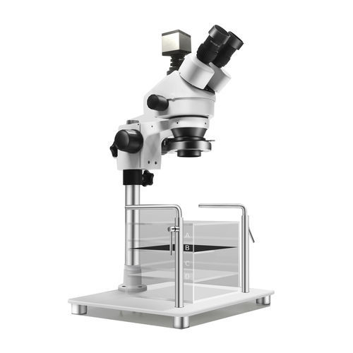 Microscopio ottico - Hotry - da laboratorio / medico / per neuroscienza