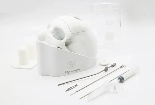 Simulatore neurochirurgico - Hotry - didattico / workstation