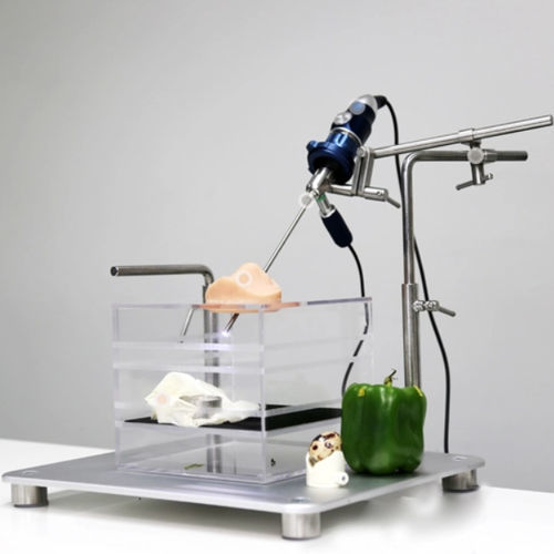 Simulatore didattico - Hotry - neurochirurgico / workstation