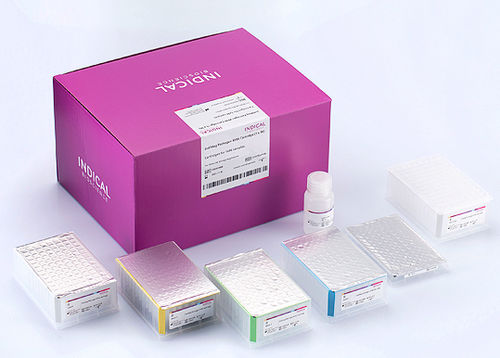 Kit di reagenti per laboratorio veterinario - IndiMag Pathogen KF96 Cartridge - INDICAL BIOSCIENCE GmbH - a biglie magnetiche / acidi nucleici / per estrazione di DNA